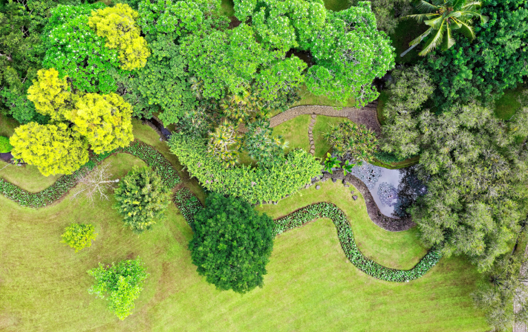 Giardino con alberi e siepi visto dall'alto.
